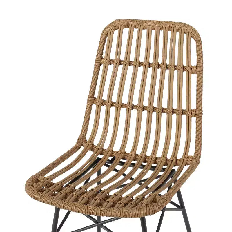 Chaises de salle à manger d'extérieur en osier et fer Braymer de GDFStudio (lot de 2)