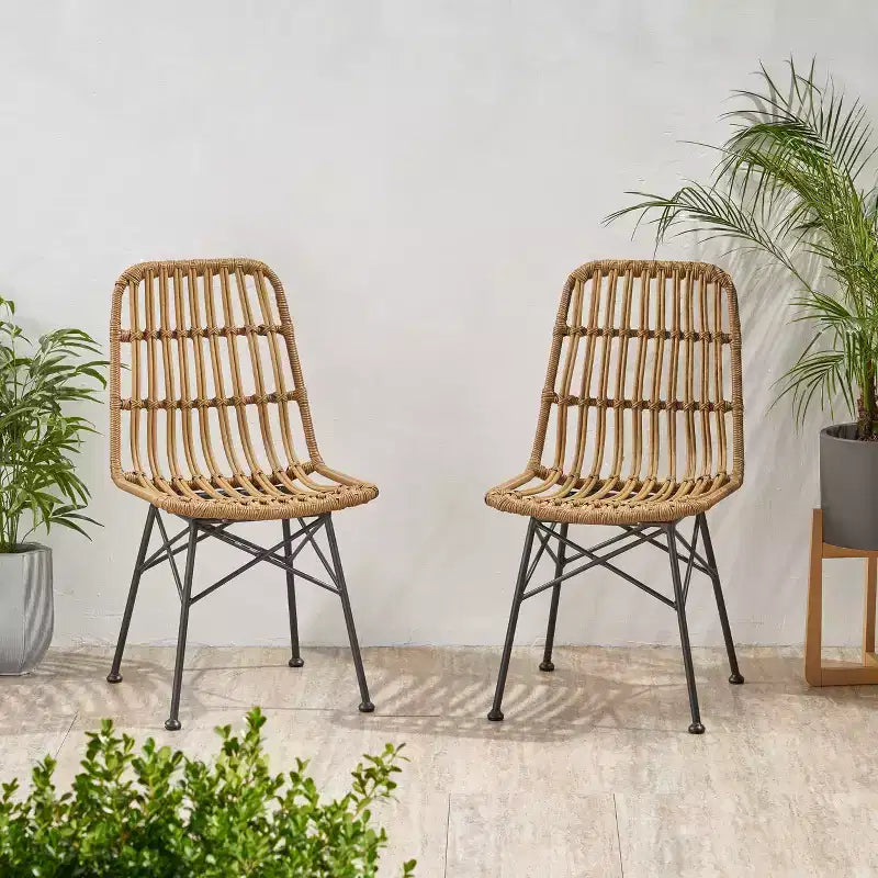 Chaises de salle à manger d'extérieur en osier et fer Braymer de GDFStudio (lot de 2)