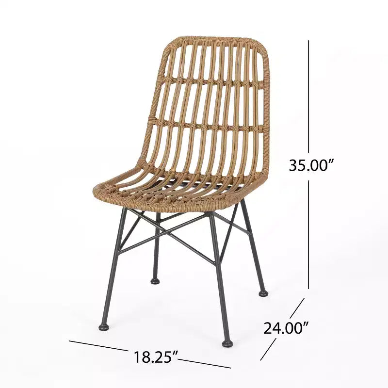 Chaises de salle à manger d'extérieur en osier et fer Braymer de GDFStudio (lot de 2)