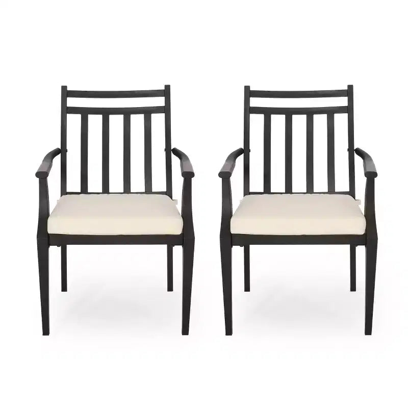 Christopher Knight Home Bostwick Outdoor Iron Dining Chairs with Cushion (Set of 2)