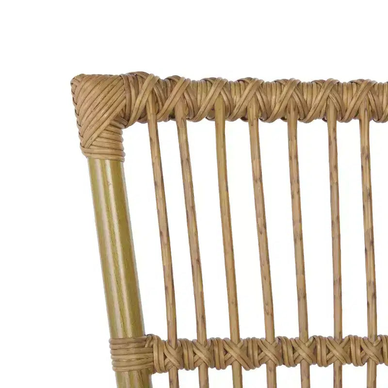 Fauteuil Bora (Lot de 2) - Intérieur/Extérieur - PAT4046 - Naturel - Safavieh