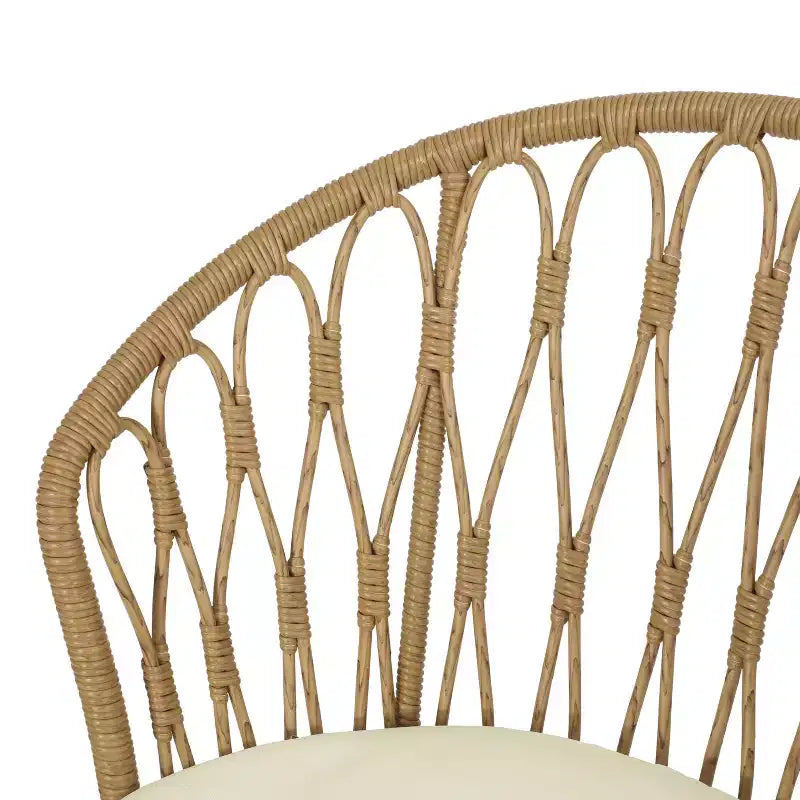 Christopher Knight Home Tavon Chaises de salle à manger d'extérieur en osier et métal avec coussin (Lot de 2)