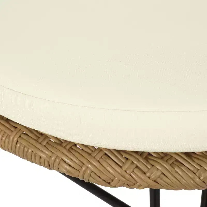 Christopher Knight Home Tavon Chaises de salle à manger d'extérieur en osier et métal avec coussin (Lot de 2)