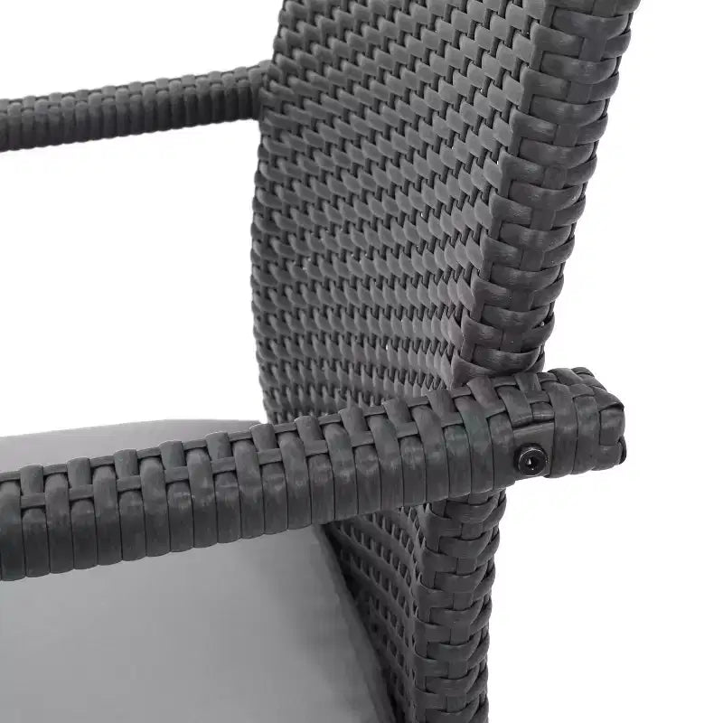 Christopher Knight Home Ruple Chaises de salle à manger d'extérieur en osier et fer avec coussins résistants à l'eau (Lot de 2)