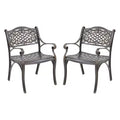 CLIHOME Cast Aluminum Stationary Outdoor Patio Dining Chairs(Set of 2)