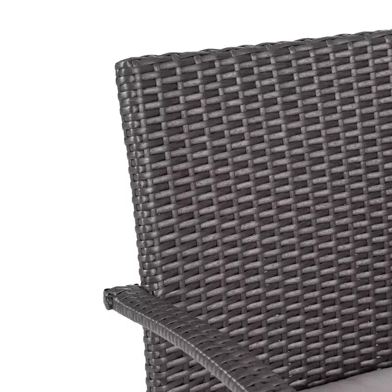 Chaises de salle à manger d'extérieur en osier Christopher Knight Home Cordoba avec coussin (lot de 2)