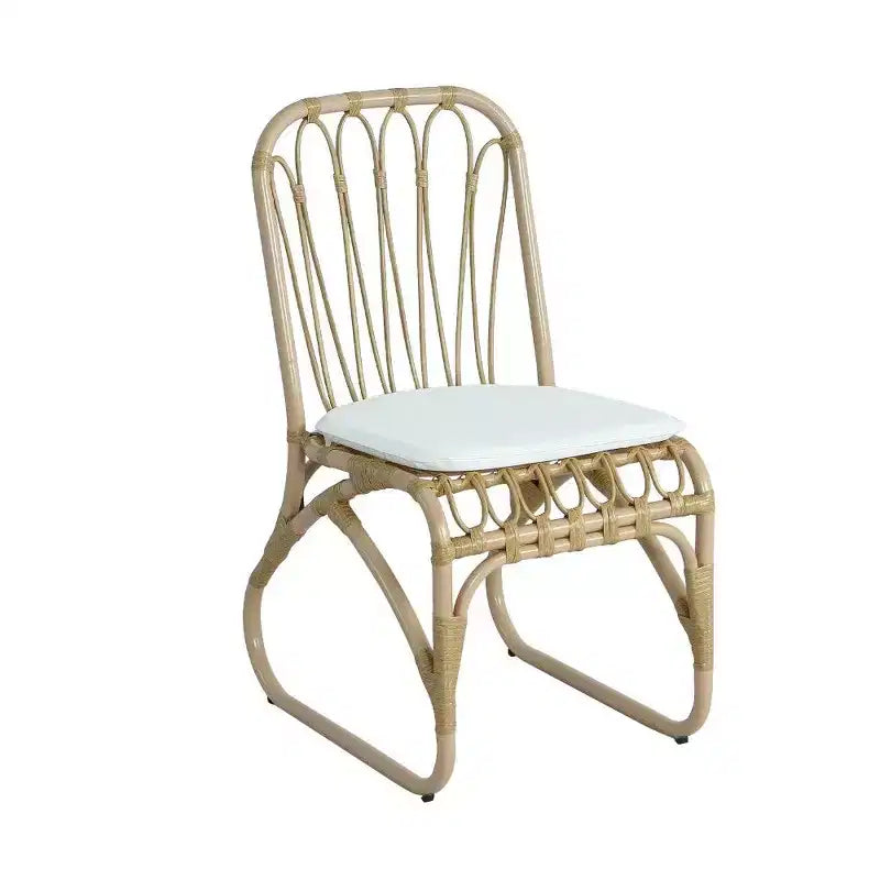 TUYOHW PE Chaises de Salle à Manger en Rotin, Lot de 2, Chaises d'Extérieur en Rotin avec Coussins Lavables, Capacité de 180 kg, Aucun Assemblage Requis