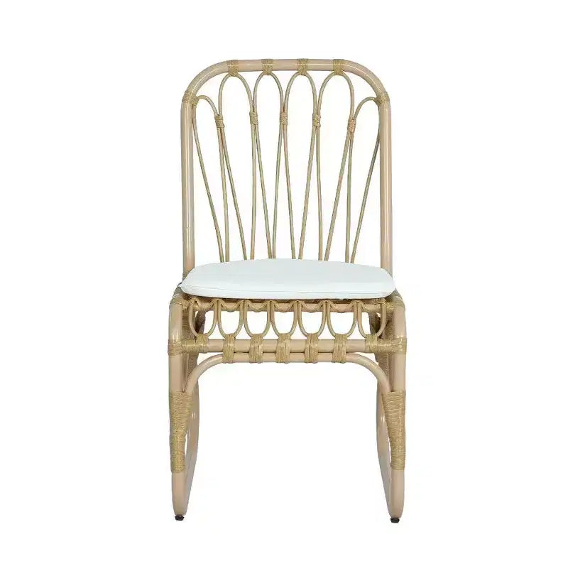 TUYOHW PE Chaises de Salle à Manger en Rotin, Lot de 2, Chaises d'Extérieur en Rotin avec Coussins Lavables, Capacité de 180 kg, Aucun Assemblage Requis