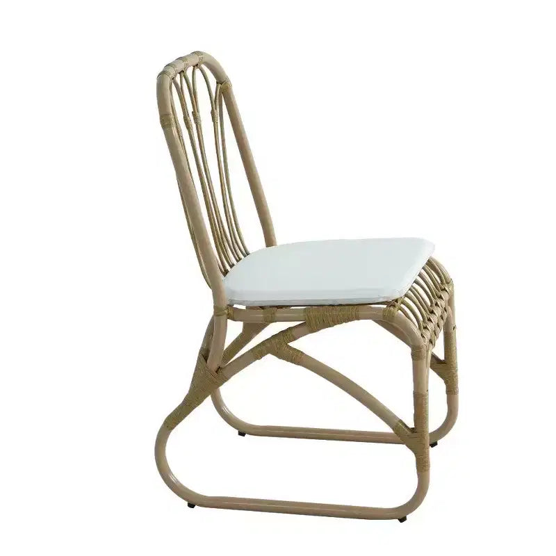 TUYOHW PE Chaises de Salle à Manger en Rotin, Lot de 2, Chaises d'Extérieur en Rotin avec Coussins Lavables, Capacité de 180 kg, Aucun Assemblage Requis