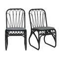 TUYOHW PE Chaises de Salle à Manger en Rotin, Lot de 2, Chaises d'Extérieur en Rotin avec Coussins Lavables, Capacité de 180 kg, Aucun Assemblage Requis
