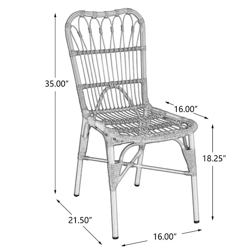 TUYOHW Lot de 2 chaises de salle à manger d'extérieur, chaises de salle à manger en résine tressée avec cadre en fer, chaises de patio pour jardin, balcon, aucun assemblage requis