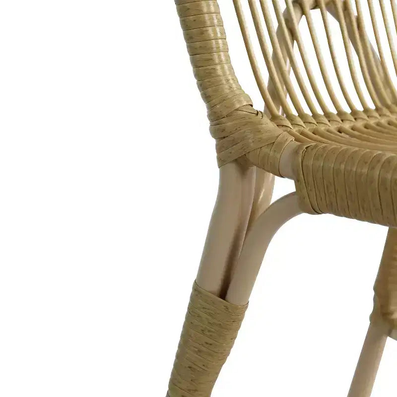 TUYOHW Lot de 2 chaises de salle à manger d'extérieur, chaises de salle à manger en résine tressée avec cadre en fer, chaises de patio pour jardin, balcon, aucun assemblage requis