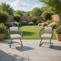 GDFStudio Gert Outdoor Wicker and Steel Dining Chair (Set of 2)