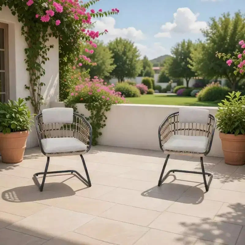 GDFStudio Gert Chaises de salle à manger d'extérieur en osier et acier (lot de 2)