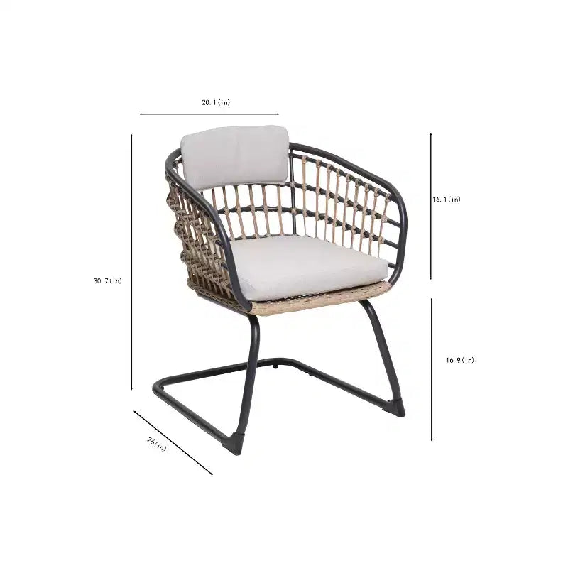GDFStudio Gert Chaises de salle à manger d'extérieur en osier et acier (lot de 2)