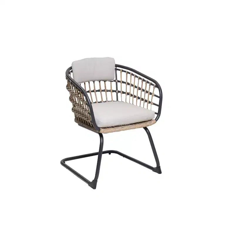 GDFStudio Gert Chaises de salle à manger d'extérieur en osier et acier (lot de 2)
