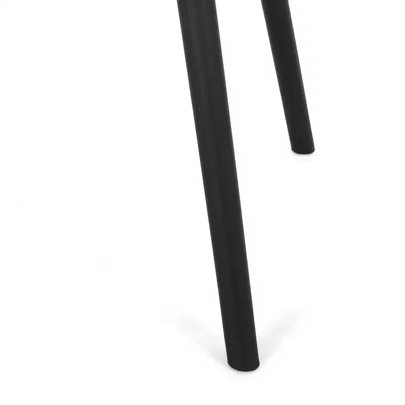 Christopher Knight Home Lotus Chaises de salle à manger modernes d'extérieur en plastique polypropylène (lot de 2)
